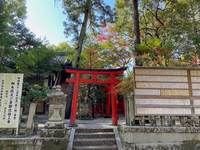 a love letter to kyoto