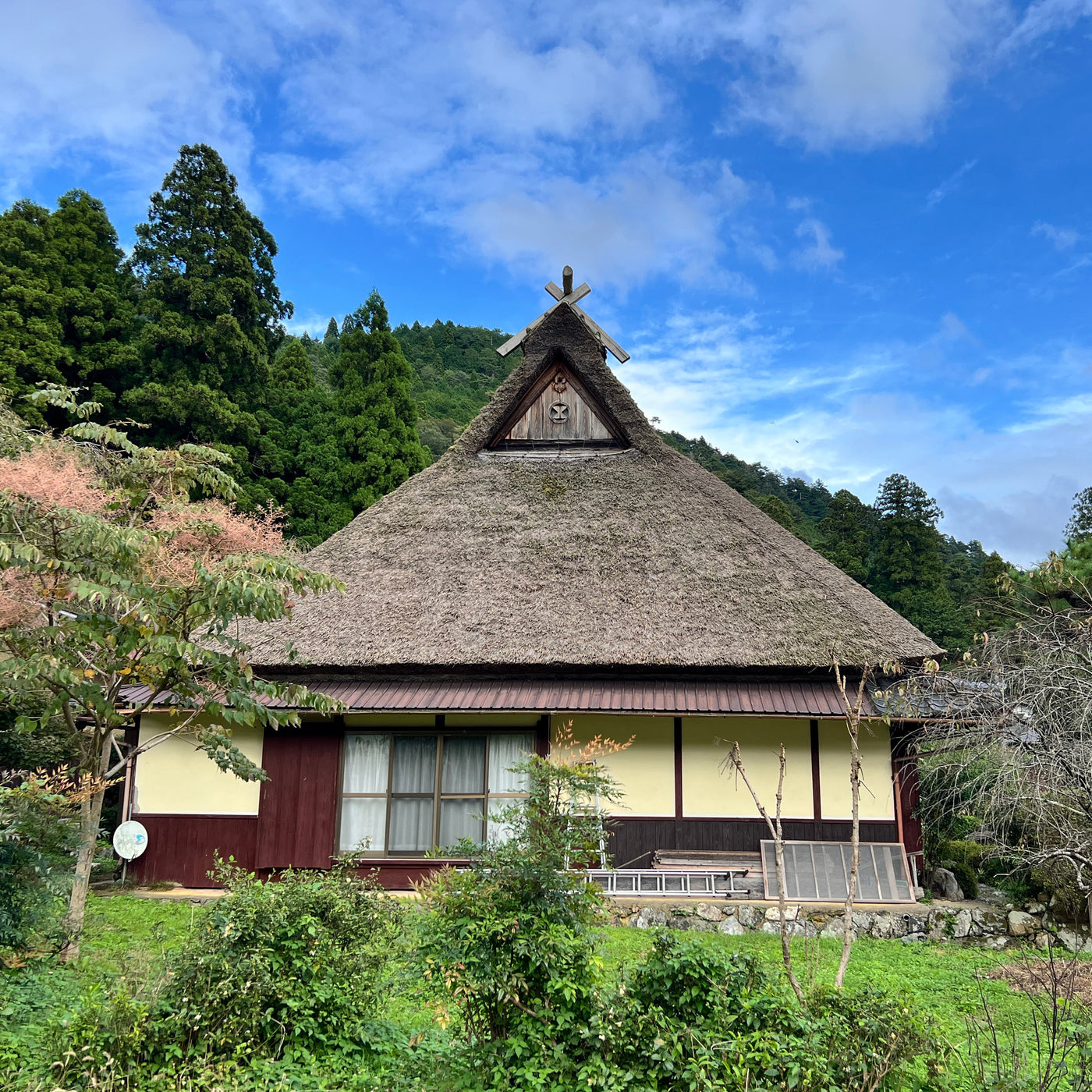 DEPOSIT | OCT 2025 Blue Japan Indigo Tour