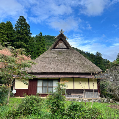 DEPOSIT | OCT 2025 Blue Japan Indigo Tour