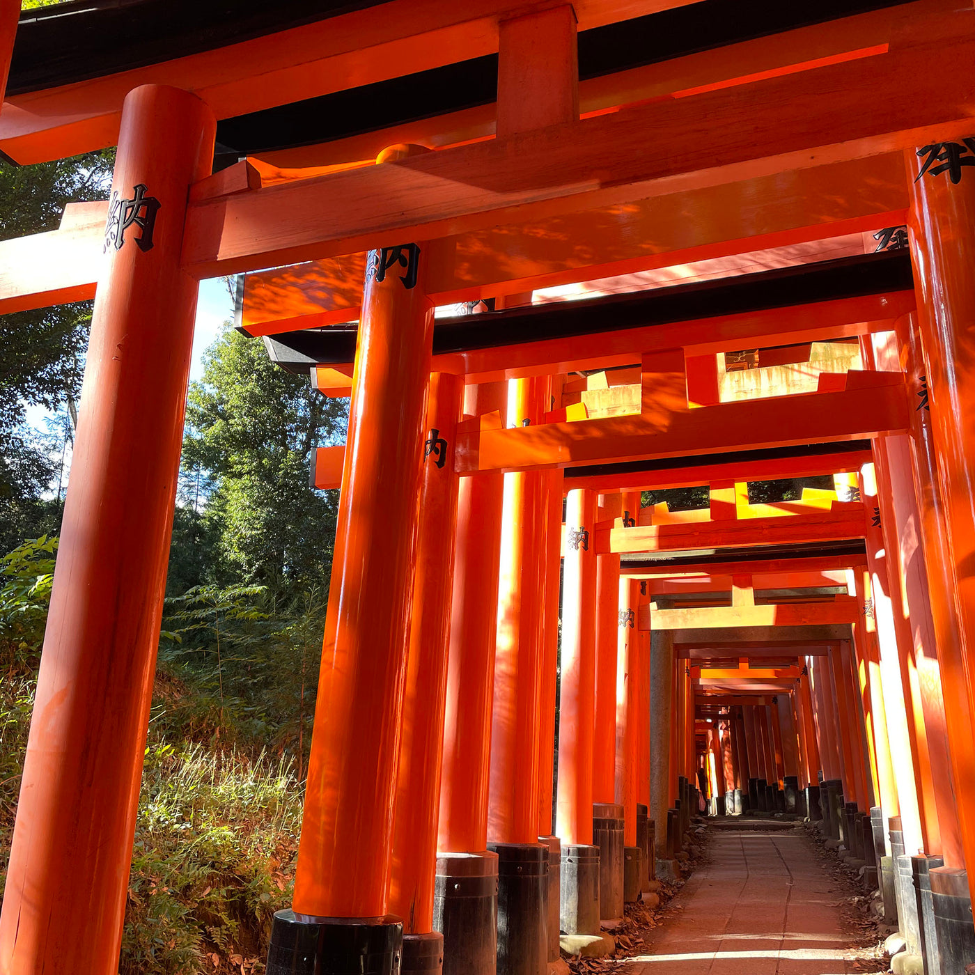 DEPOSIT | OCT 2024 Kyoto Textile Adventure