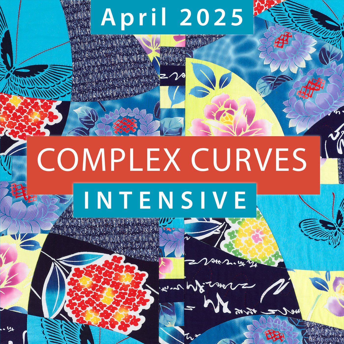 Complex Curves INTENSIVE - Zoom Workshop