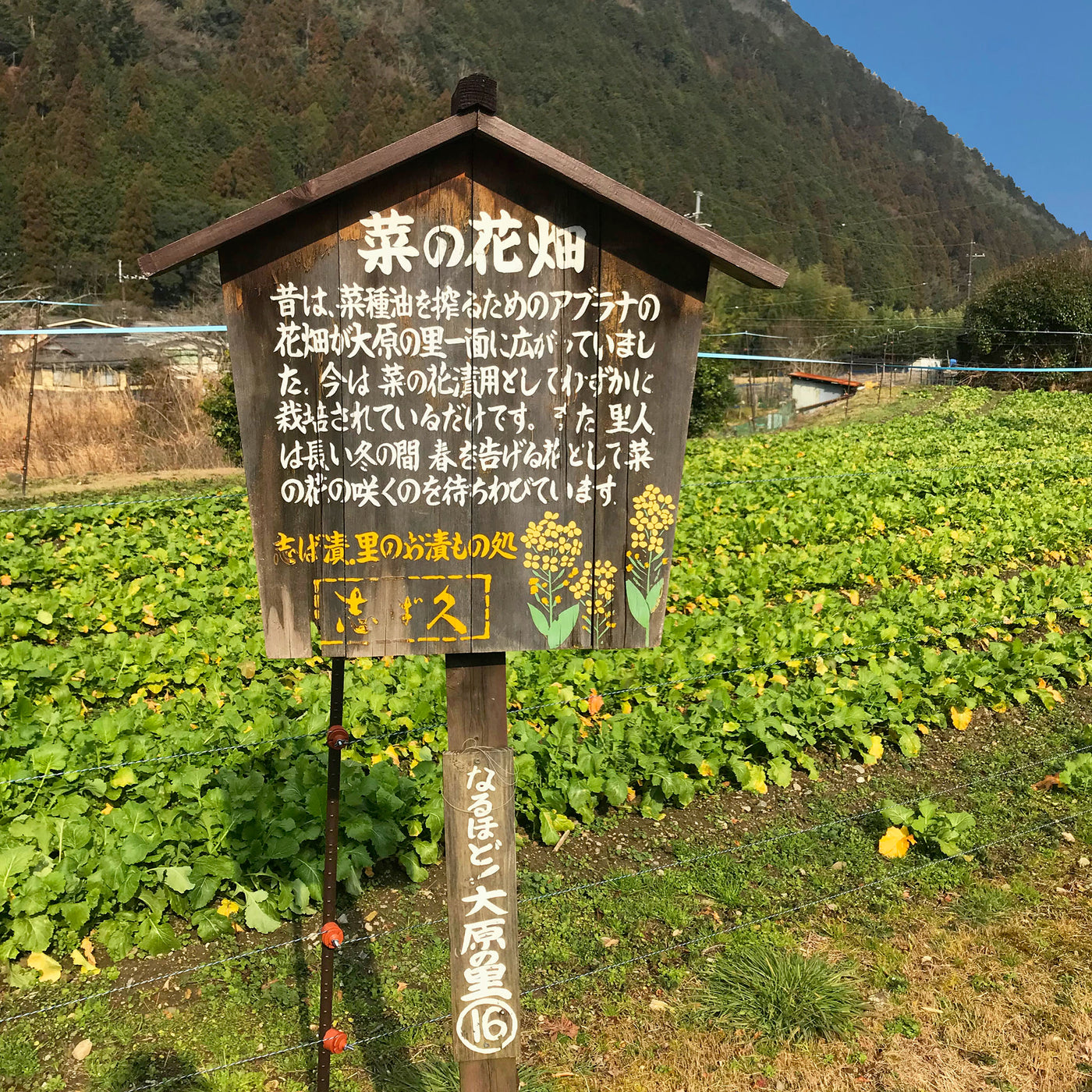 Botanical farm sign