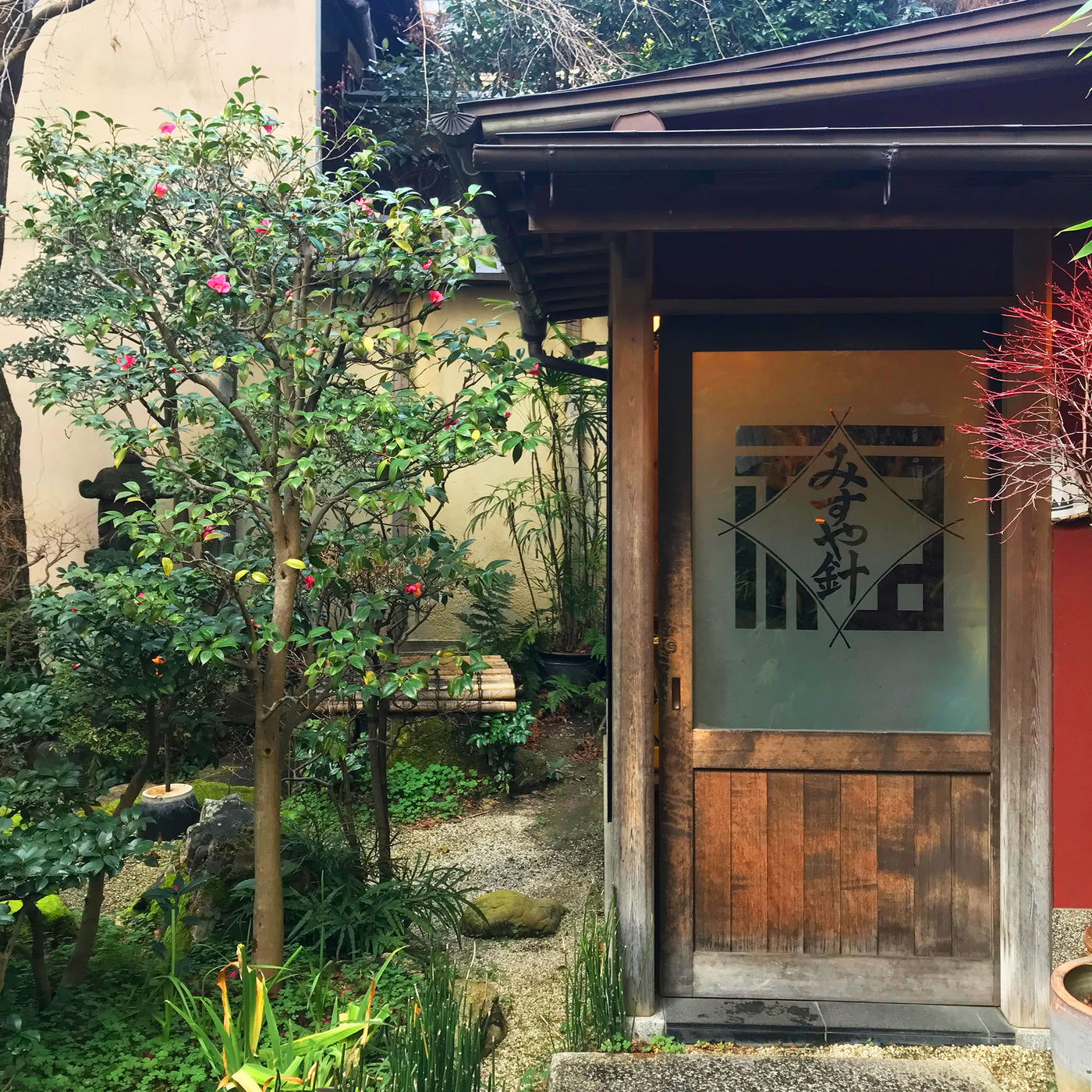 Kyoto spring color